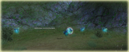 Небесные колокольчики